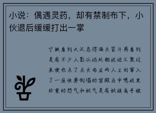 小说：偶遇灵药，却有禁制布下，小伙退后缓缓打出一掌